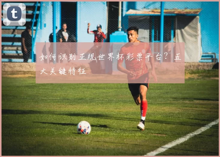 如何识别正规世界杯彩票平台?五大关键特征