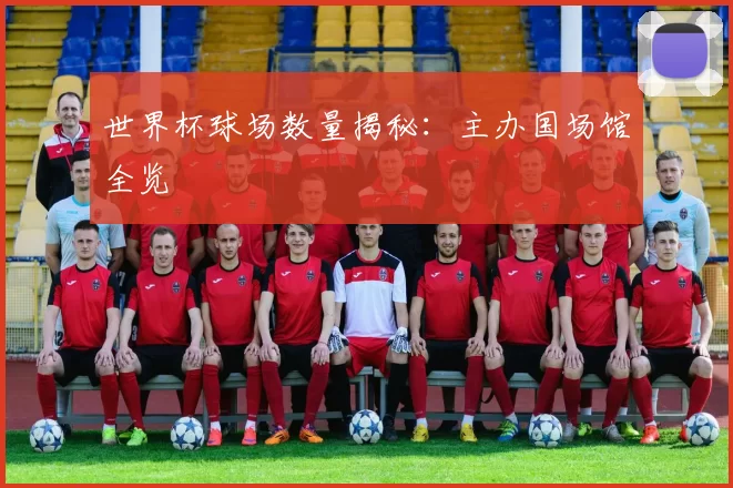 世界杯球场数量揭秘:主办国场馆全览