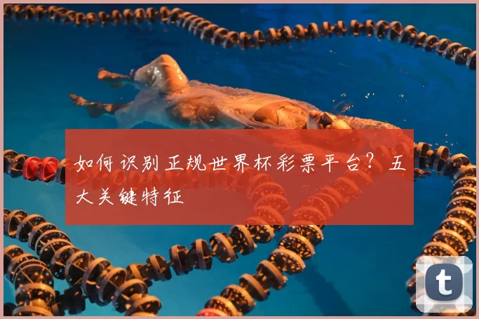 如何识别正规世界杯彩票平台？五大关键特征