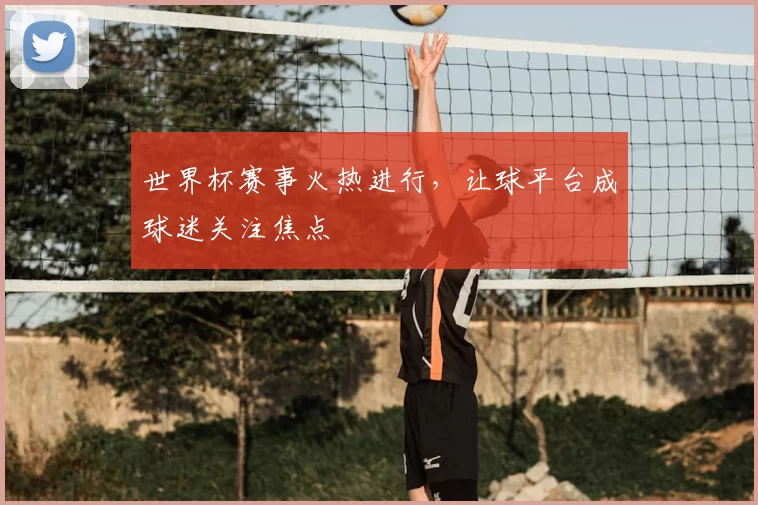 世界杯赛事火热进行,让球平台成球迷关注焦点