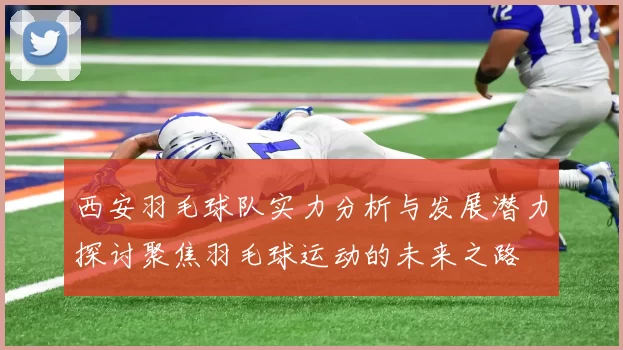 西安羽毛球队实力分析与发展潜力探讨聚焦羽毛球运动的未来之路