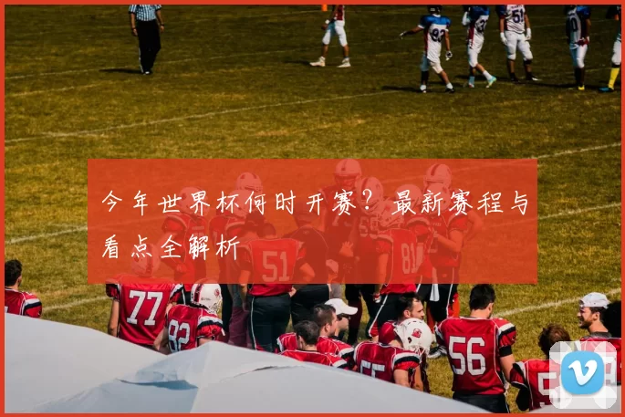 今年世界杯何时开赛?最新赛程与看点全解析
