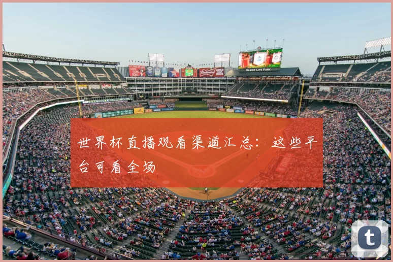世界杯直播观看渠道汇总：这些平台可看全场