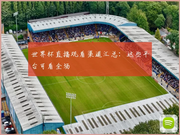 世界杯直播观看渠道汇总：这些平台可看全场