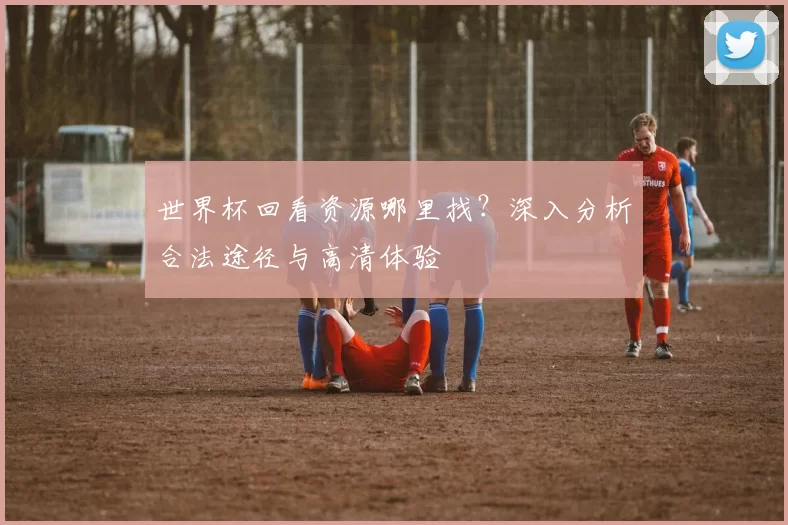 世界杯回看资源哪里找？深入分析合法途径与高清体验
