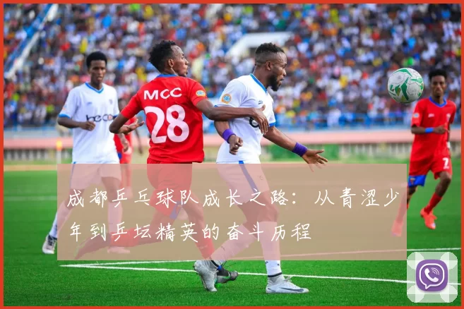 成都乒乓球队成长之路：从青涩少年到乒坛精英的奋斗历程
