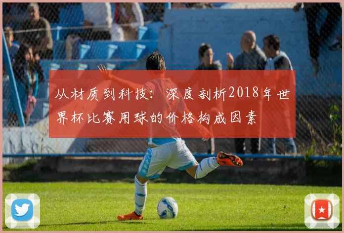 从材质到科技：深度剖析2018年世界杯比赛用球的价格构成因素