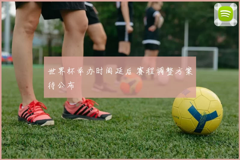 世界杯举办时间延后 赛程调整方案待公布