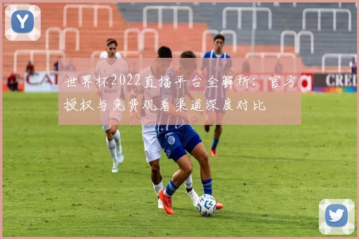 世界杯2022直播平台全解析:官方授权与免费观看渠道深度对比