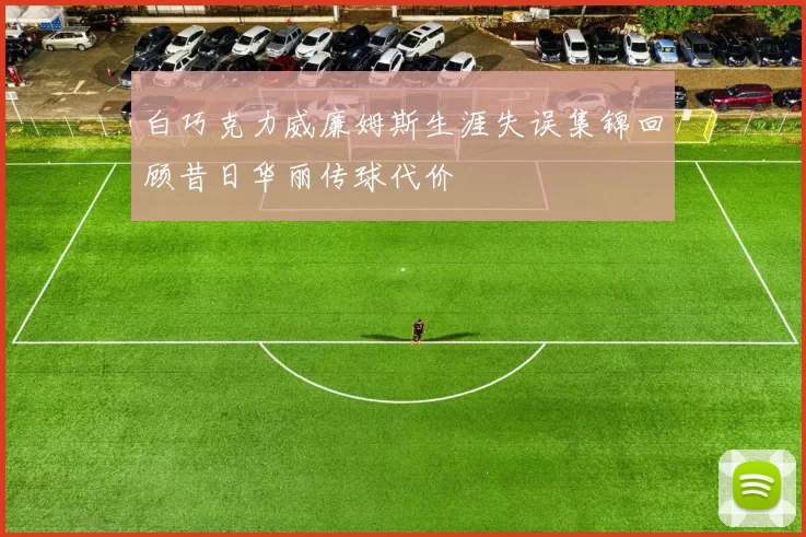 白巧克力威廉姆斯生涯失误集锦回顾昔日华丽传球代价