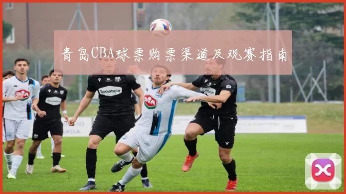 青岛CBA球票购票渠道及观赛指南