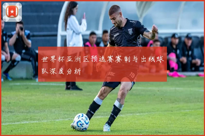 世界杯亚洲区预选赛赛制与出线球队深度分析